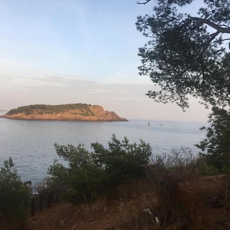 Fanny Wifi Climatise Tout A Pieds 4 Personnes La Ciotat Kültér fotó
